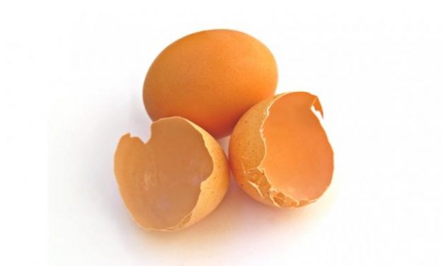 Mengulik Khasiat Kulit Telur Ayam untuk Kecantikan