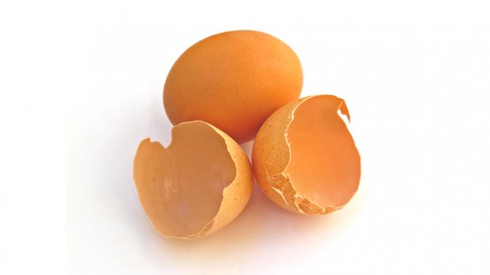 Mengulik Khasiat Kulit Telur Ayam untuk Kecantikan