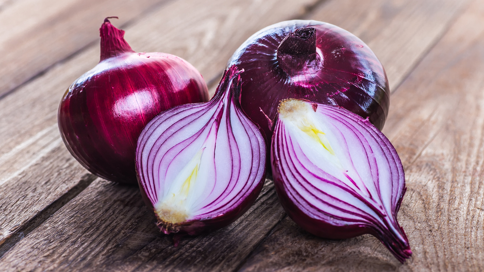 tor onion services