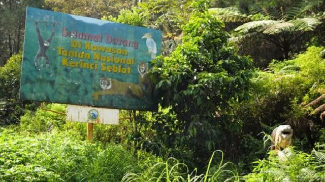 Perempuan di Balik Pengelolaan Hutan Lestari di Kawasan TN Kerinci