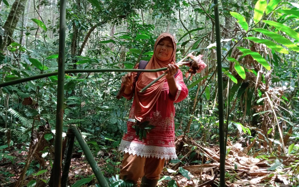 Rita Wati, Pejuang Hak Perempuan atas Lingkungan Hidup dan Hutan