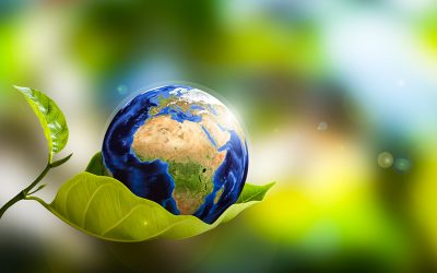 Hari Lingkungan Hidup Sedunia, 4 Langkah Sederhana untuk Ikut Jaga Bumi
